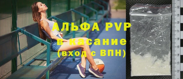 индика Армянск