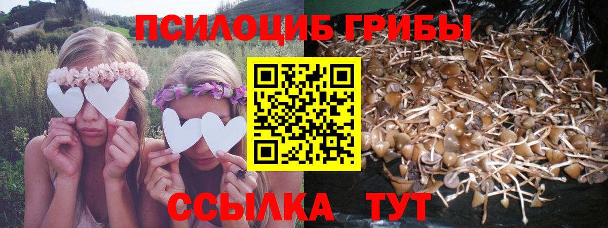 Псилоцибиновые грибы GOLDEN TEACHER Ступино