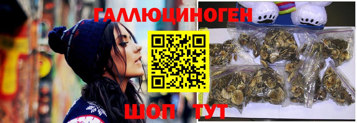 Галлюциногенные грибы Psilocybine cubensis  наркота  Псилоцибиновые грибы GOLDEN TEACHER  Ступино  Вход с VPN 
